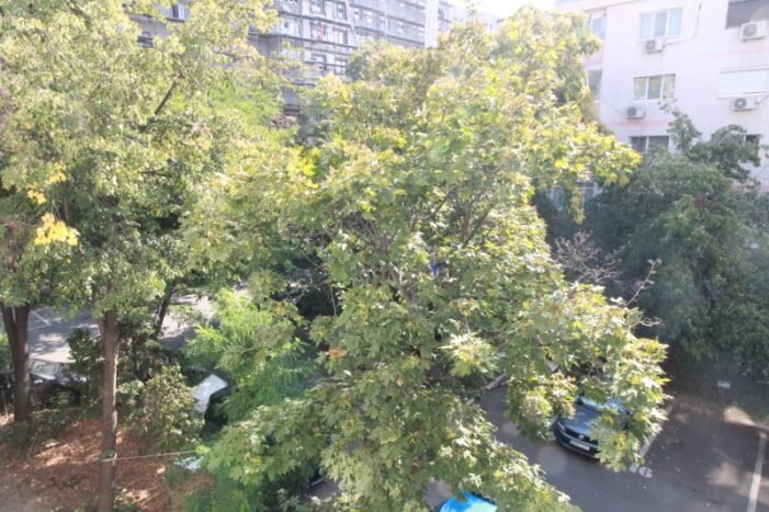 Ceahlau, Crangasi, inchiriere apartament 4 camere,